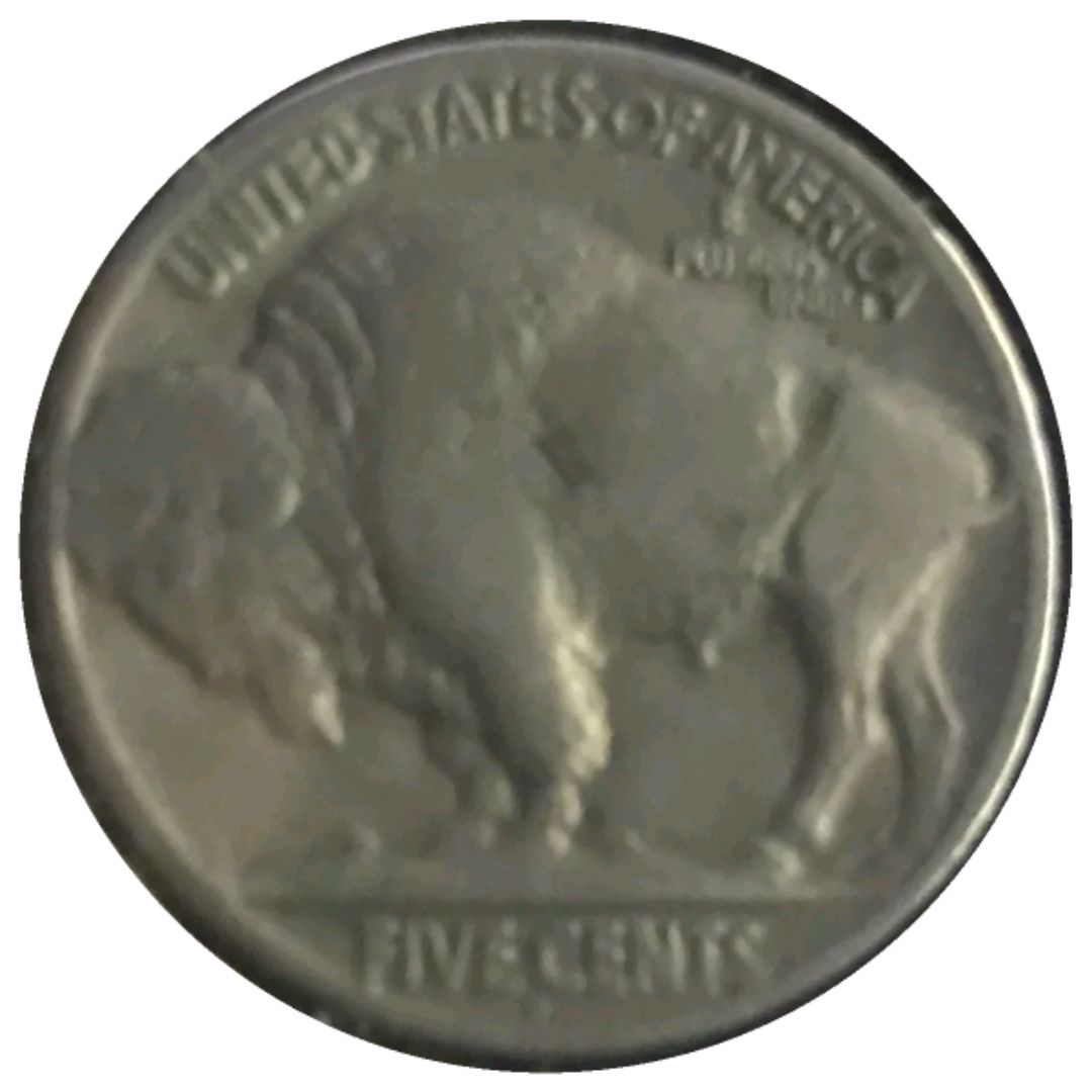 1915-D-Buffalo-Nickel-#1